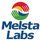 Melsta Labs دانلود در ویندوز
