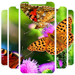 Cover Image of Télécharger Butterfly HD Wallpaper  APK
