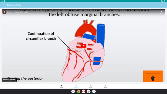 The Goofy Anatomist Screenshot