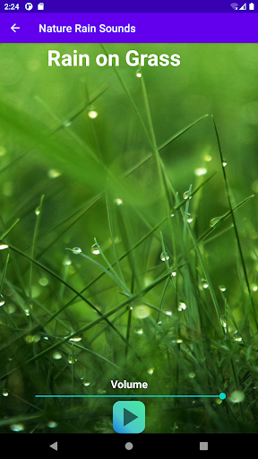 Nature Rain Sound