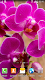 screenshot of Orchids Wallpaper