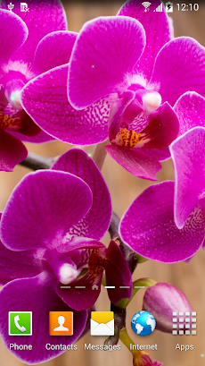 Orchids Wallpaperのおすすめ画像4