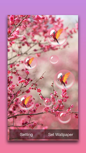 Sakura Live Wallpaper Screenshot