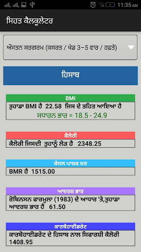NIN Health Calculator Punjabi Screen 3