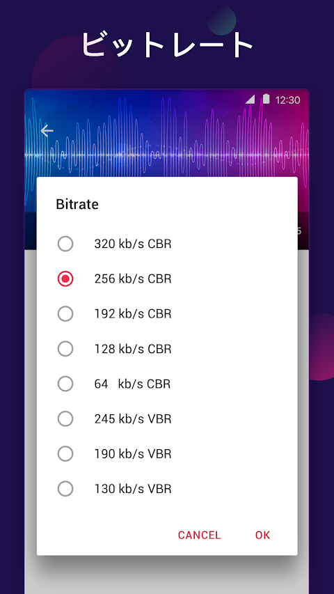 mp3 変換 & 動画からmp3へ & 動画を音楽に変換のおすすめ画像3