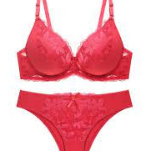 bra shopping online Download on Windows