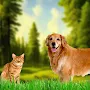 Animal Shelter 3D Rescue Game