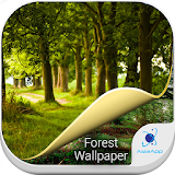 Forest Wallpapers , 4K Backgrounds icon