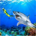 Cover Image of 下载 Angry Shark Attack Simulator 2019 1.0.2 APK