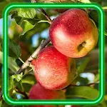 Cover Image of ダウンロード Apples Wallpaper  APK