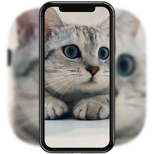 3D 귀여운 고양이 라이브 바탕 화면 Windows에서 다운로드