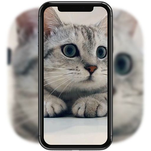 3D Cute Cat Live Wallpaper تنزيل على نظام Windows