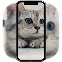 3dかわいい猫ライブ壁紙 Androidアプリ Applion