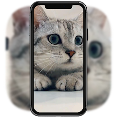 3dかわいい猫ライブ壁紙 Google Play のアプリ