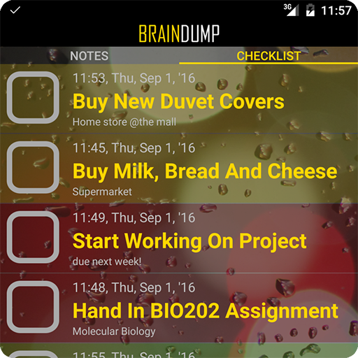 BrainDump To Do Lists & Notes!  Icon