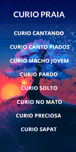Cantos de Curio Praia Screen 2