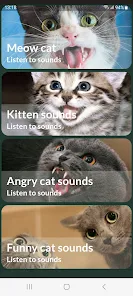 Cats sounds - Apps on Google Play