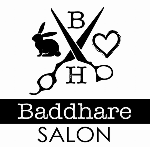 Baddhare Salon logo