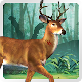 New World Wild Animal Hunting icon
