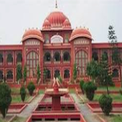 MITHILA(LNMUINFO) logo