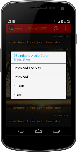 Amharic Quran AUDIO Screen 3