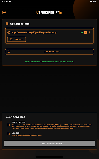 MCP Client screenshot 13