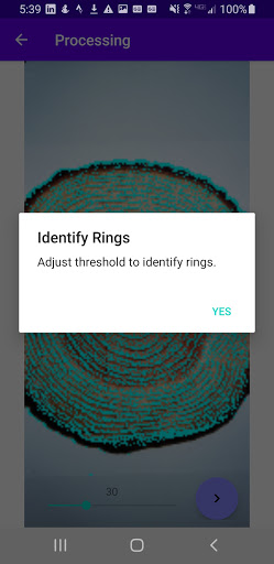 TreeRings Screen 3