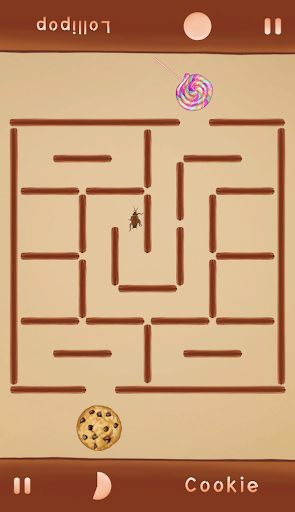 Little Beetle – 2 Player game