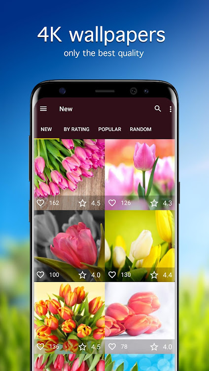Tulip Wallpapers PRO - 5.7.91 - (Android)