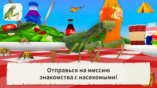 Предварительный просмотр приложения