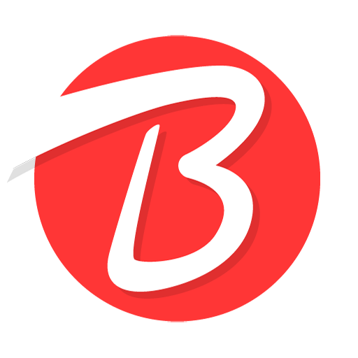 بیرلیک | راهنمای ترکیه Birlik logo