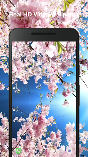 Romantic Sakura Live Wallpaper Screen 3