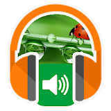 Relaxing Sounds Of Nature icon