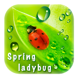 Spring Ladybug (green) icon