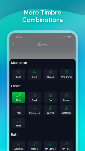 AcornMeditation Screen 2