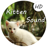 Kitten Sounds  -  Cat Meow Sound icon
