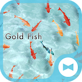 Stylish Wallpaper Gold Fish Theme icon
