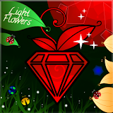 Light Flowers icon