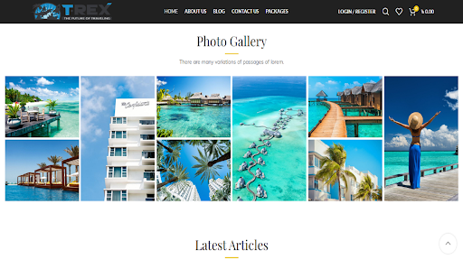 T-Rex Global Tour and Travel