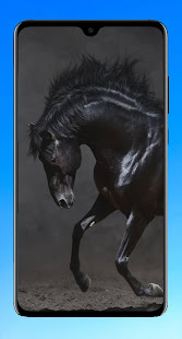 Horse Wallpaper 4K 1.05 APK screenshots 14