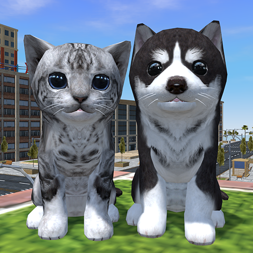 A dog hotsell and cats world