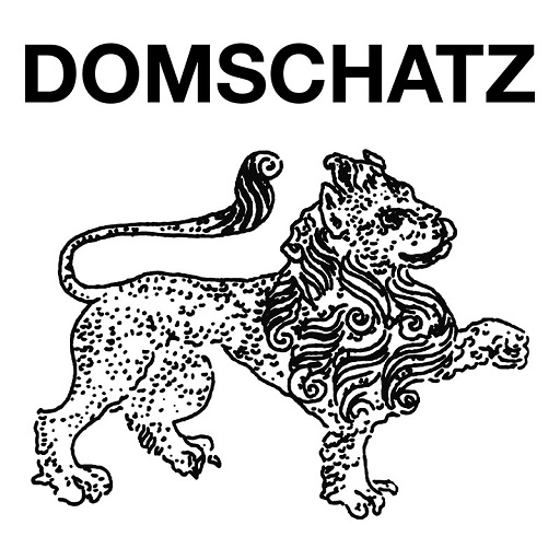Domschatz Regensburg logo
