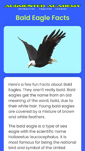 Bald Eagle AR Tabletop Course Screen 2