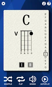 Contrabass Notes Flash Cards
