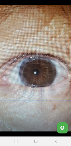 Neuro-Optic Eye Capture