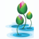 Blooming Buds Preschool and Activity Center Download on Windows