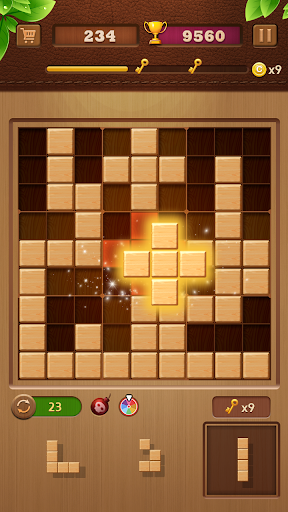 Android application Block Puzzle - Wood Sudoku screenshort