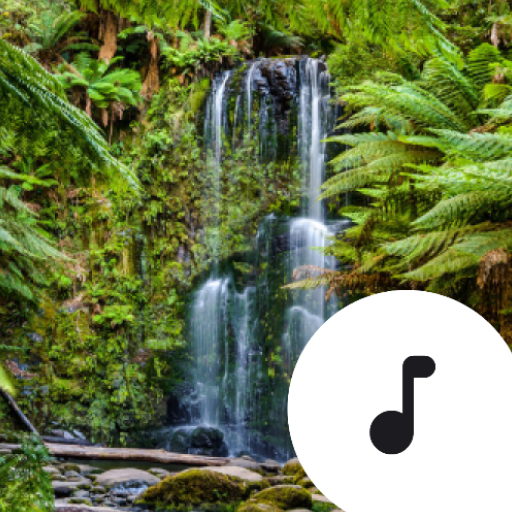Rainforest Sounds  Icon