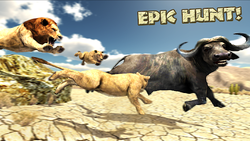 Android application Hungry Lions Savanna Wild Hunt screenshort