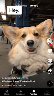 Downloader for Tiktok - Tmate Screenshot